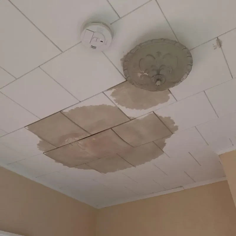 Ceiling Water Damage Repair in Adjuntas, PR