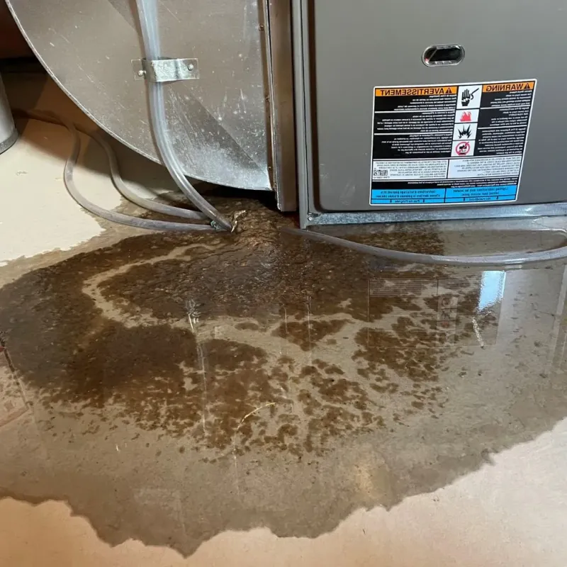 Pipe Burst and Leak Restoration in Adjuntas, PR